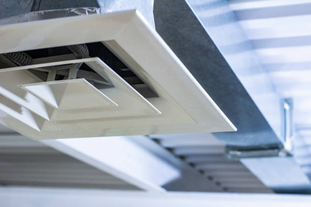 Best Professional Duct Cleaning Services  in Paradise, NV