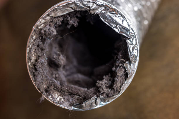 Best Commercial Air Duct Cleaning  in Paradise, NV