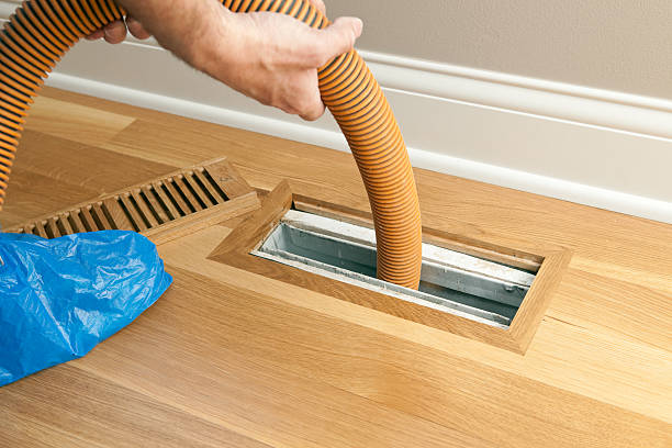 Best Air Duct Cleaning Company Near Me  in Paradise, NV