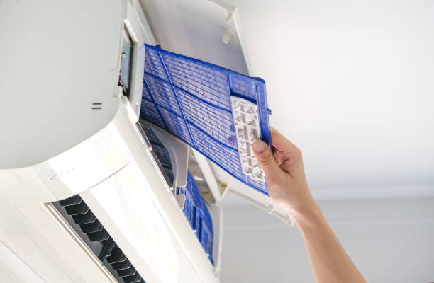 Best Air Vent Cleaning Services  in Paradise, NV