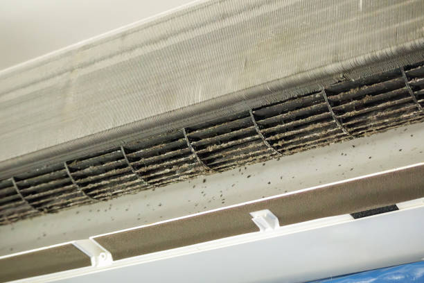 Best Residential Air Duct Cleaning  in Paradise, NV