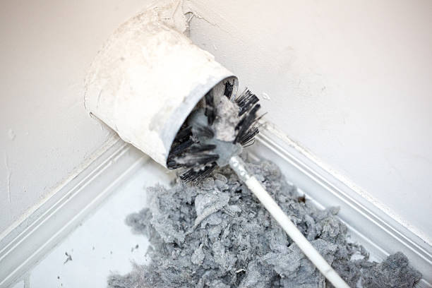 Best Commercial Air Duct Cleaning  in Paradise, NV